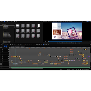 EDIUS 11 Phoenix Pro