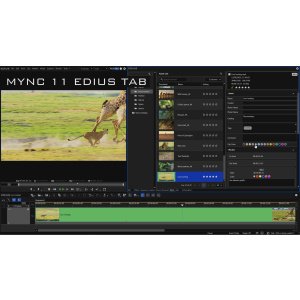 Produktshot-EDIUS-11-Workgroup