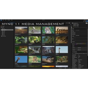 Produktshot-EDIUS-11-Workgroup
